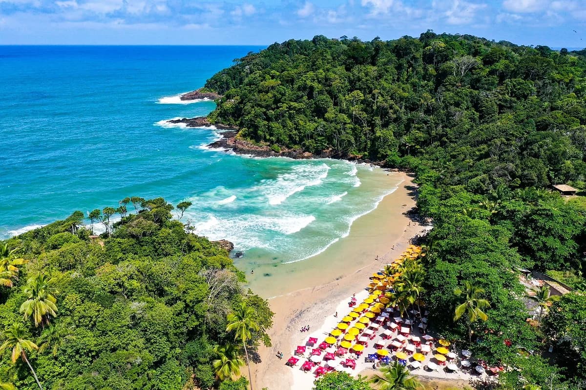 Praia da Ribeira em Itacare cercada por Mata Atlantica